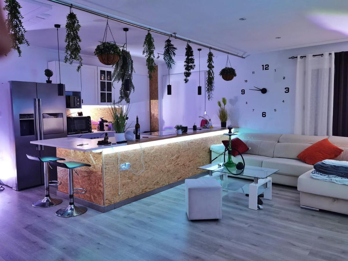 Stag Hendo25Pax Only 10Min To The Party Area Despedidas 25Pax 10 Min De La Zona De Fiesta Consultar Precio Бенидорм Экстерьер фото